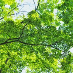 フランス移住後、ゼネストと仕事【コウゲン編2】