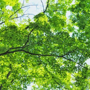 フランス移住後、ゼネストと仕事【コウゲン編2】