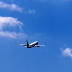 パリへの長い旅【えび編2】