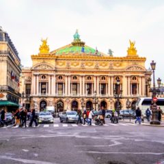 パリのデザインアトリエ【えび編3】