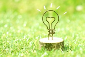 草原とワイヤーでできた電球