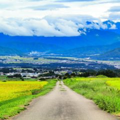 パリで故郷を思い出す【コウゲン編30】