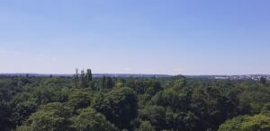 パリのブローニュの森