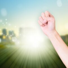 商品が店頭に並ぶ【コウゲン編47】