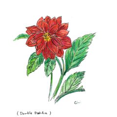 ダリアの花とフランス