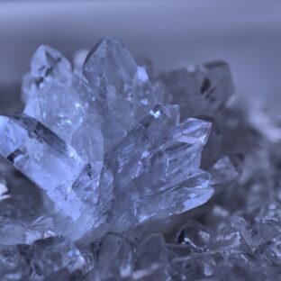 僕は香港にハマりそうだ【コウゲン編76】