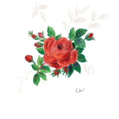 赤いバラとリュクサンブール公園