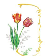 チューリップとパリの花屋