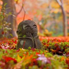 お寺の後継者さがし【コウゲン編101】