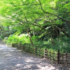 オーストリアメーカーの来日【コウゲン編83】