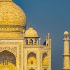 インド更紗を求めてインドへ【コウゲン編112】