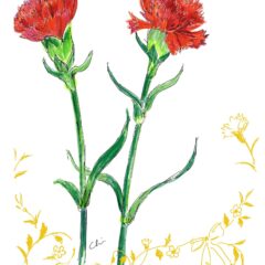 カーネーションとパリ